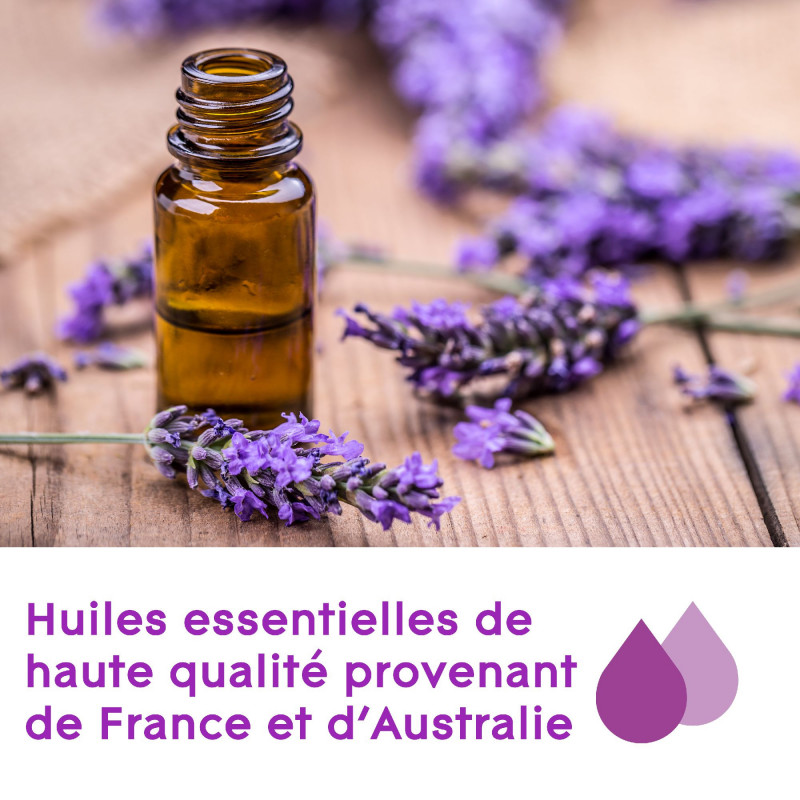 Glade® Aromatherapy - Diffuseur + 2 recharges MOMENT OF ZEN® Lavande & Bois de Santal