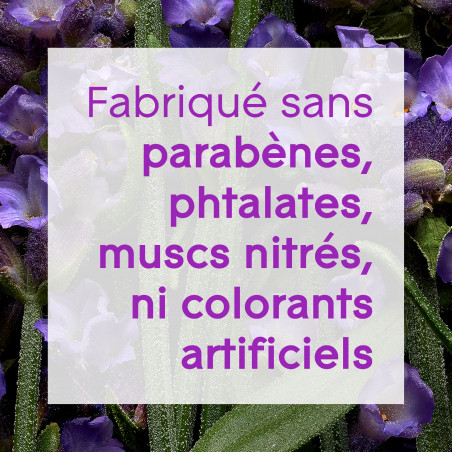 Glade® Aromatherapy - Diffuseur + 2 recharges MOMENT OF ZEN® Lavande & Bois de Santal Glade® Aromatherapy - Diffuseur + 2 recharges MOMENT OF ZEN® Lavande & Bois de Santal