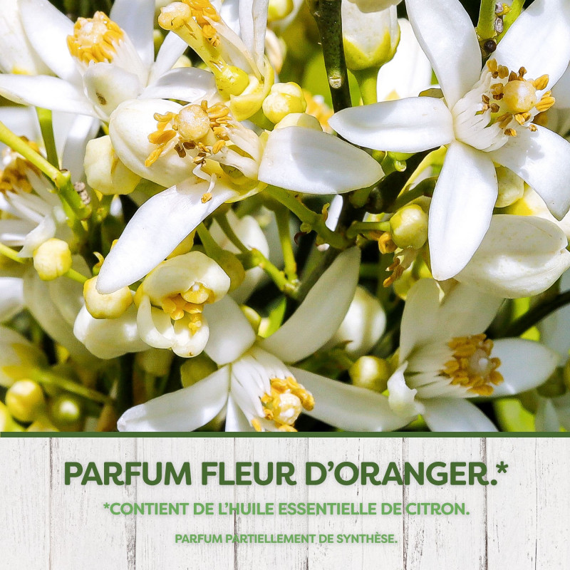 PYREL SACHETS PARFUMES FLEUR D'ORANGER AVEC HUILE ESSENTIELLE DE CITRON X24