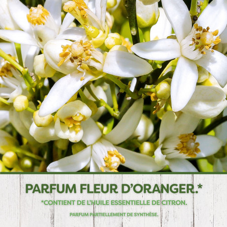 PYREL SACHETS PARFUMES FLEUR D'ORANGER AVEC HUILE ESSENTIELLE DE CITRON X24