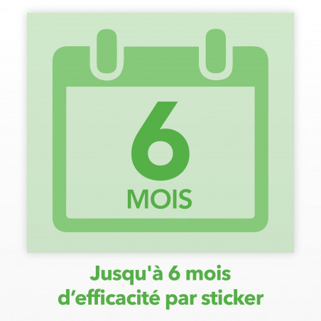 RAID ESSENTIALS PIEGE A MOUCHES ET MOUCHES A FRUITS - STICKER FENETRES SOLEIL BOUQUET FLORAL X6 RAID ESSENTIALS PIEGE A MOUCHES ET MOUCHES A FRUITS - STICKER FENETRES SOLEIL BOUQUET FLORAL X6