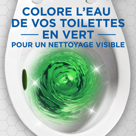 Canard Eau Verte 4en1