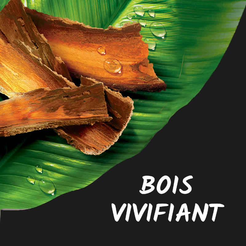 Gel Douche Tahiti Doypack Bois Vivifiant 500ml