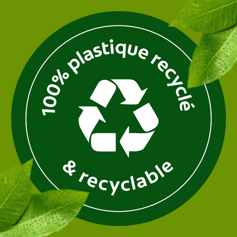 Pack de 12 - Liquide Vaisselle Paic Vinaigre et sel mineral - 750ml