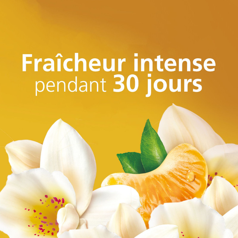 Soupline Adoucissant Concentré 3D Fraîcheur Parfumée Mandarine & Notes De  Vanille