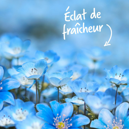 Pack de 12 - Soupline Tablettes Adoucissantes Cœurs Éclat de Fraîcheur - 28 pièces Pack de 12 - Soupline Tablettes Adoucissantes Cœurs Éclat de Fraîcheur - 28 pièces