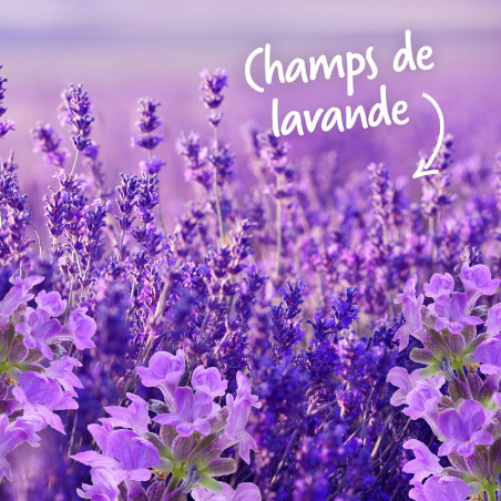 Pack de 12 - Soupline Tablettes Adoucissantes Cœurs Champs de Lavande - 28 pièces