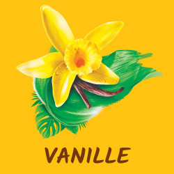 Pack de 3 - Gels douche Tahiti vanille & huile de coco 2