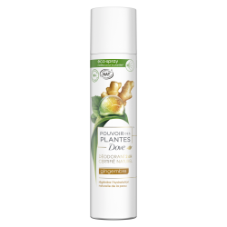 Pack de 3 - DOVE Nat Pouvoir des Plantes Gingembre Eco-spray 75ml