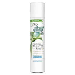 Pack de 3 - DOVE Nat Pouvoir des Plantes Eucalyptus Eco-Spray 75ml