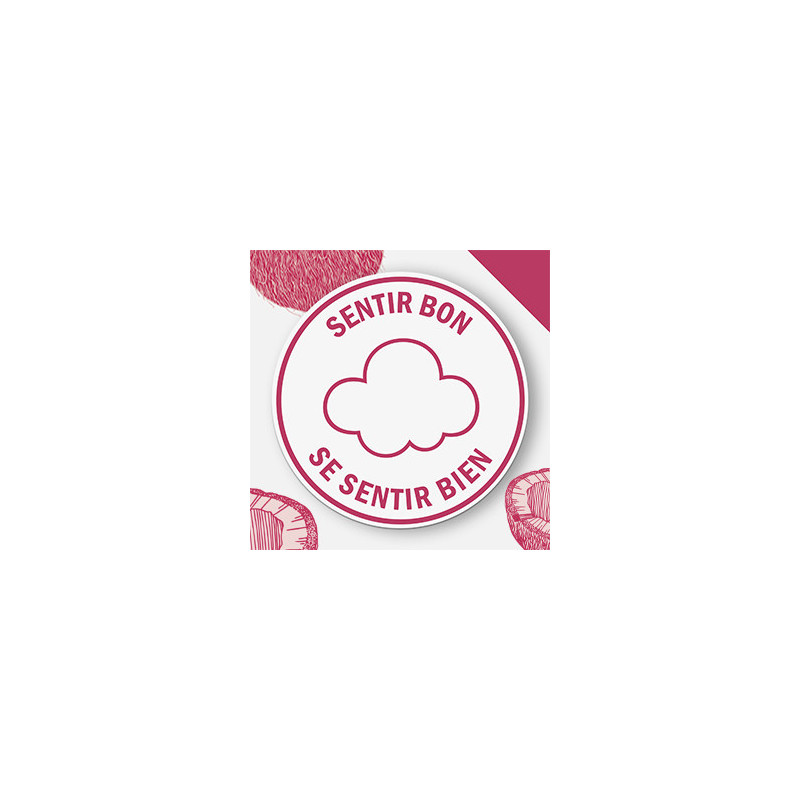 Pack de 3 - SCHMIDT'S Déodorant d'origine naturelle Argile & Noix de coco Stick 75g