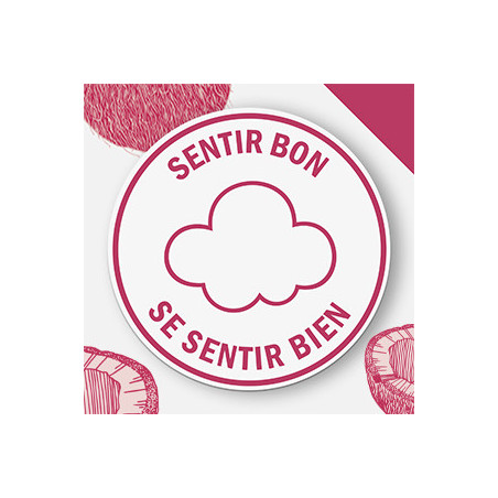 Pack de 3 - SCHMIDT'S Déodorant d'origine naturelle Argile & Noix de coco Stick 75g