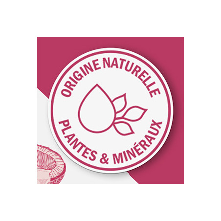 Pack de 3 - SCHMIDT'S Déodorant d'origine naturelle Argile & Noix de coco Stick 75g