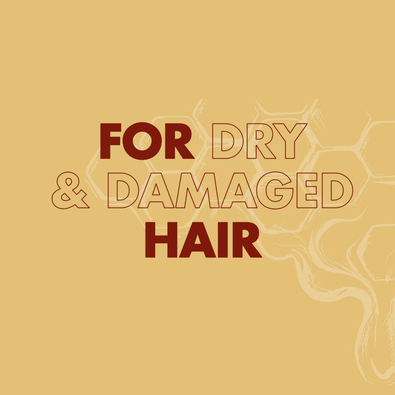Pack de 3 - Après-Shampooing Shea Moisture Hydratation Intense au Miel de Manuka et huile de Mafura (384ml)