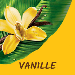 Lot de 12 Eco recharges Gel douche Tahiti Vanille - 500ml