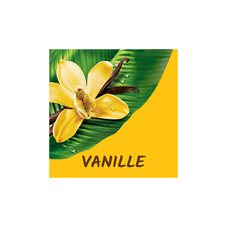 Lot de 12 Eco recharges Gel douche Tahiti Vanille - 500ml