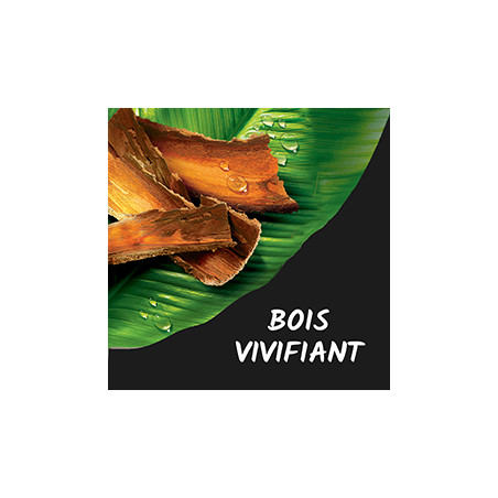 Lot de 12 Eco recharges Gel douche Tahiti Bois des tropiques - 500ml