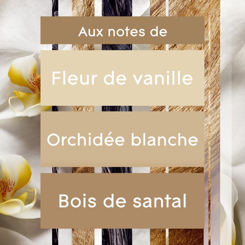 Glade Fragrance Plugs recharge pack Romantique Fleur de Vanille, 20 ml