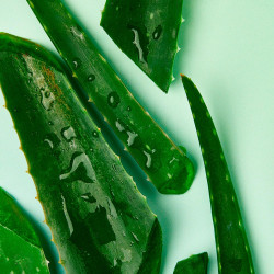 Pack de  2 - Nivea - Lingettes Démaquillantes Aloe Vera Bio 25 Pièces 2