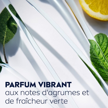 Lot de 3 Gel douche Homme Fraîcheur 3 en 1 Réveil Express NIVEA MEN 250ml