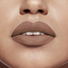 Bourjois Rouge A Levres Velvet The Lipstick 23 Taupe Of Paris
