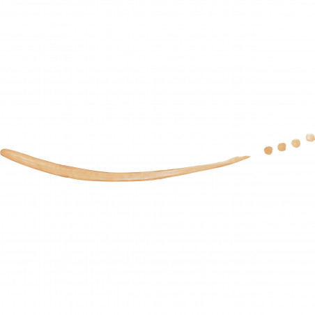 Bourjois Anticernes 1.2.3. Perfect Cc Concealer Stick