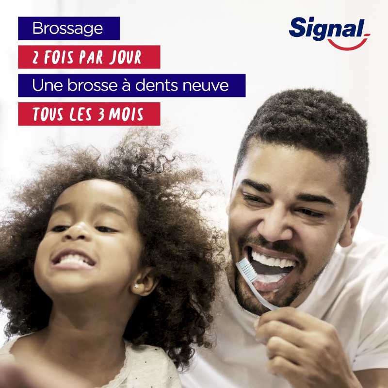 Signal Brosse à Dents Nature Elements Fraîcheur & Détox Souple