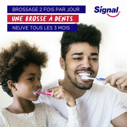 Pack de 6 - Signal Brosse à Dents Système Blancheur Infusé au Charbon Medium x1 2