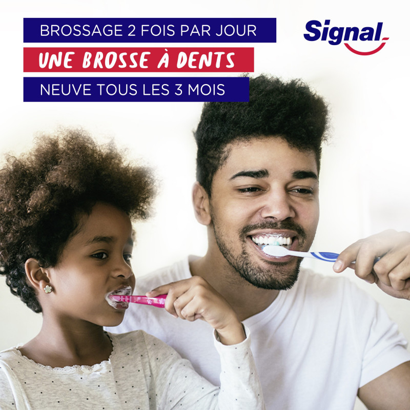 Pack de 6 - Signal Brosse à Dents Système Blancheur Infusé au Charbon Medium x1