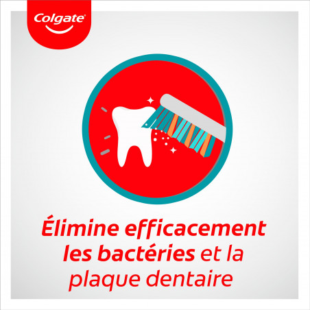 Lot Brosses à dents Colgate Zig Zag Souple x3 Lot Brosses à dents Colgate Zig Zag Souple x3