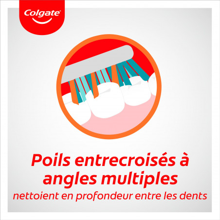 Lot Brosses à dents Colgate Zig Zag Souple x3 Lot Brosses à dents Colgate Zig Zag Souple x3