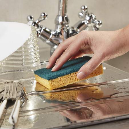 Spontex - 3 Gratte-Eponge Longue Durée