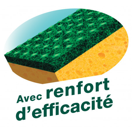 Spontex - 3 Gratte-Eponge Performance