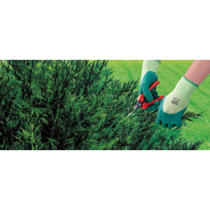 Gants de Jardinage - Petits Travaux de Taille - T.S