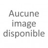 Arnette